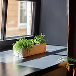 #stayhere - Historic Old Town Chic Apartmán Vilnius