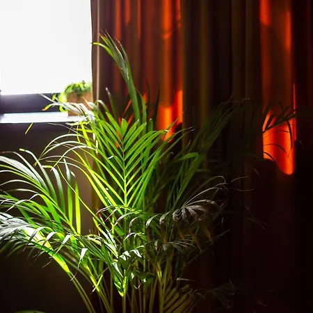 아파트 #stayhere - Historic Old Town Chic