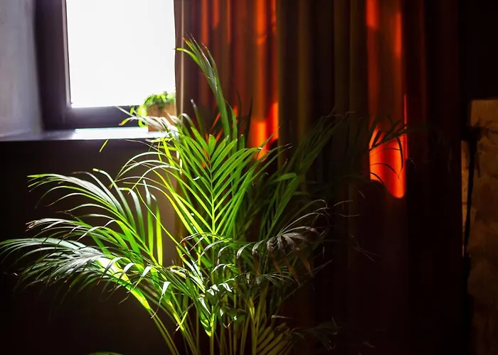 Apartman #stayhere - Historic Old Town Chic