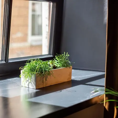 #stayhere - Historic Old Town Chic Lägenhet Vilnius